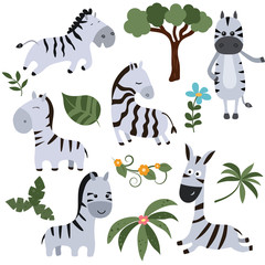 Set funny zebras