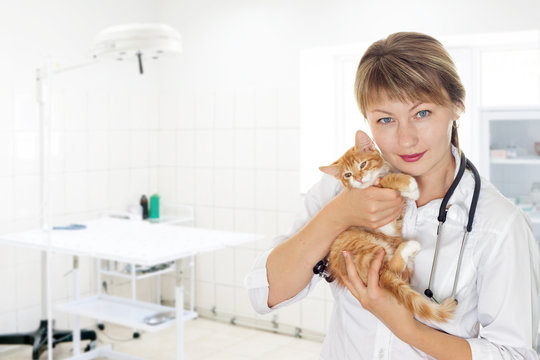 woman veterinary doctor and a small kitten