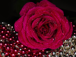 Rose with water droplets on red and white beads.