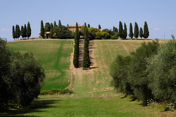 Fototapety  Krajobraz Toskanii