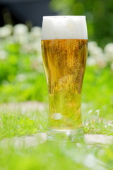 cold beer