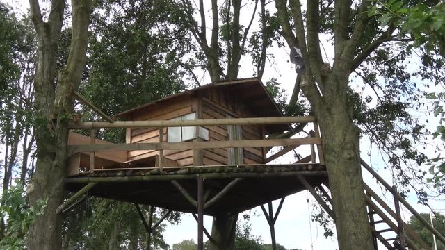 Dolly shot of beautiful tree house also known as tree fort showing building constructed between trunks and branches of several mature trees above ground level tree houses nice playground for children