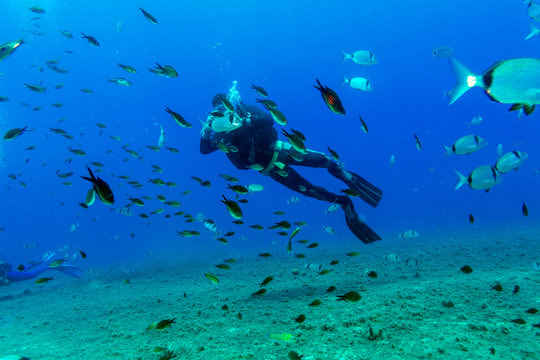 Silhouette of Scuba Diver near Sea Bottom