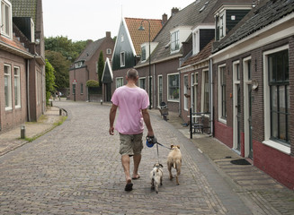 Walking the dog, volwassen man laat honden uit in dorpsstraat - obrazy, fototapety, plakaty