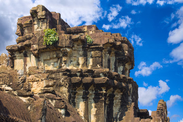 Fototapeta premium Angkor Wat temple