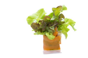 Salmon organic vegetable roll, a Vietnamese-Japanese fusion, cle