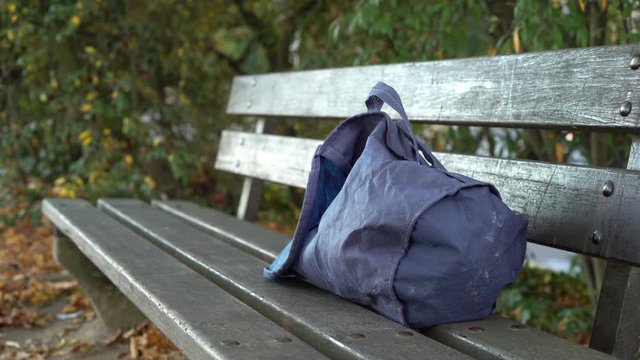 Questionable blue bag sits on park bench in the fall with traffic seen moving past trees in background.
