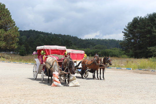 faytonlar ve atlar