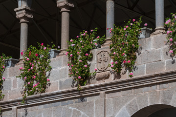 Fototapeta na wymiar symbols inside the Templo de Santo Domingo