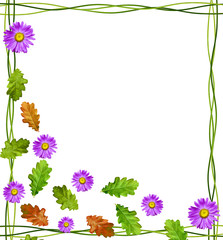 Obraz premium autumn leaves isolated on white background.