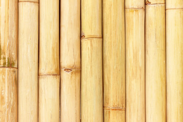 Old bamboo fence background; Old natural bamboo fence texture ba