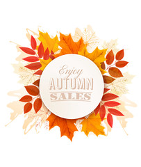 Autumn Sales Banner With Colorful Leaves. Vector.