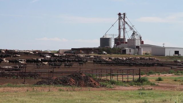 Northwest Oklahoma - Stockyard 03