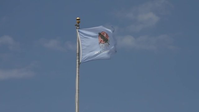 Oklahoma State Flag 02