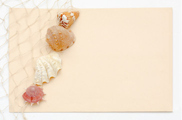 Sea shell stationery concept with netting and light peach background - greeting card