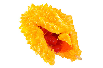 Momordica vegetable on white