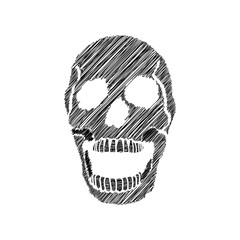 Black and white human skull