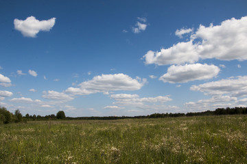 Obraz premium The sky and clouds on the sky