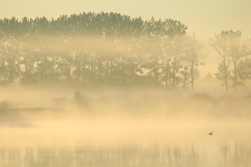 Obraz na płótnie Canvas poranek nad jeziorem