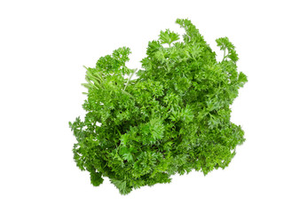 Obraz premium Bundle of curly leaf parsley on a light background
