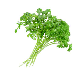Bundle of curly leaf parsley and flat leaf parsley