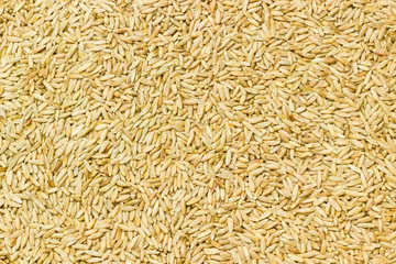 Background of rye grains