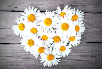 Fototapeta premium chamomile pattern on wooden background, retro filter effect 