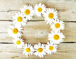 chamomile pattern on wooden background, retro filter effect 