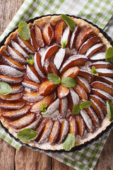 Plum cake with mint and powdered sugar in baking dish close up. vertical top view

