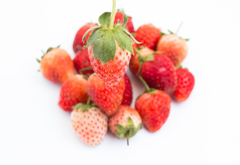 Strawberry isolated