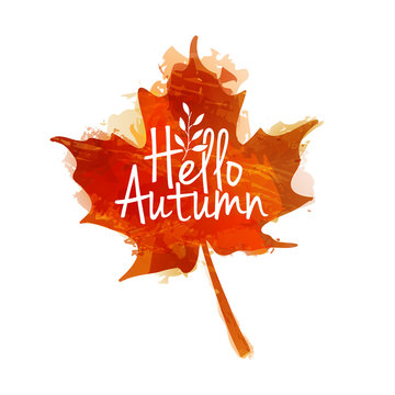 logo design, banner, poster Hello autumn. The decor of the autumn leaves and watercolor texture. Red maple leaf with the text. Vector