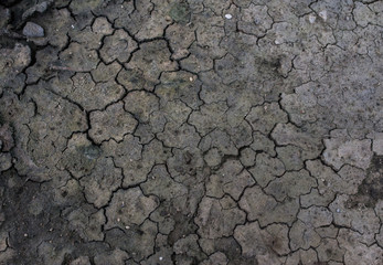 dry crack ground,