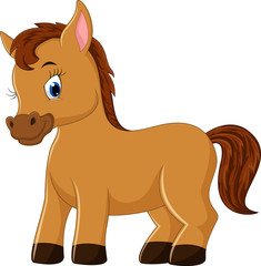 Cute horse cartoon