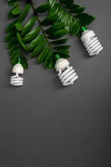 Three LED lamp with green leaf, ECO energy concept, close up. Light bulb on grey background. Saving Energy and Ecological Environment. Copy space.