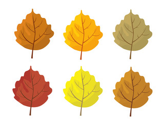 Set of colorful autumn leaves. Cartoon and flat style leafs. White background. Vector illustration.