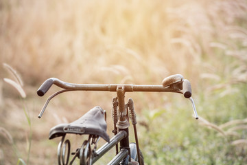 Fototapeta na wymiar close up of Vintage Bicycle with Summer grassfield ; vintage fil