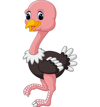 1 910 Best Emu Cartoon Images Stock Photos Vectors Adobe Stock