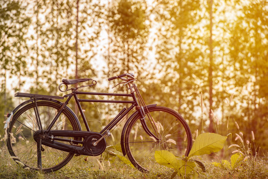 landscape image vintage Bicycle at sunset with summer grassfield