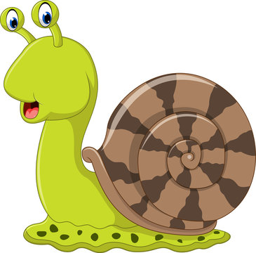 Cute snail cartoon