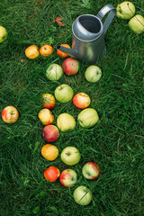 apples on grass