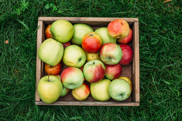 apples in wooden boxes