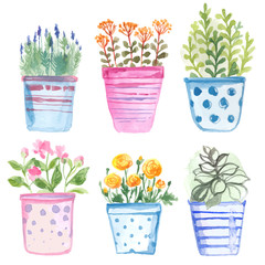 Set flowers in pot watercolor.