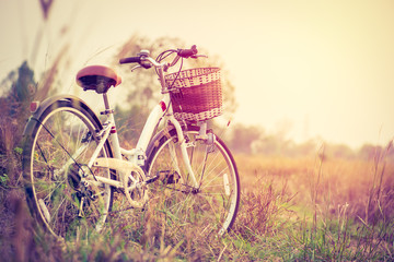 Fototapeta na wymiar beautiful landscape image with vintage Bicycle at sunset ; vinta