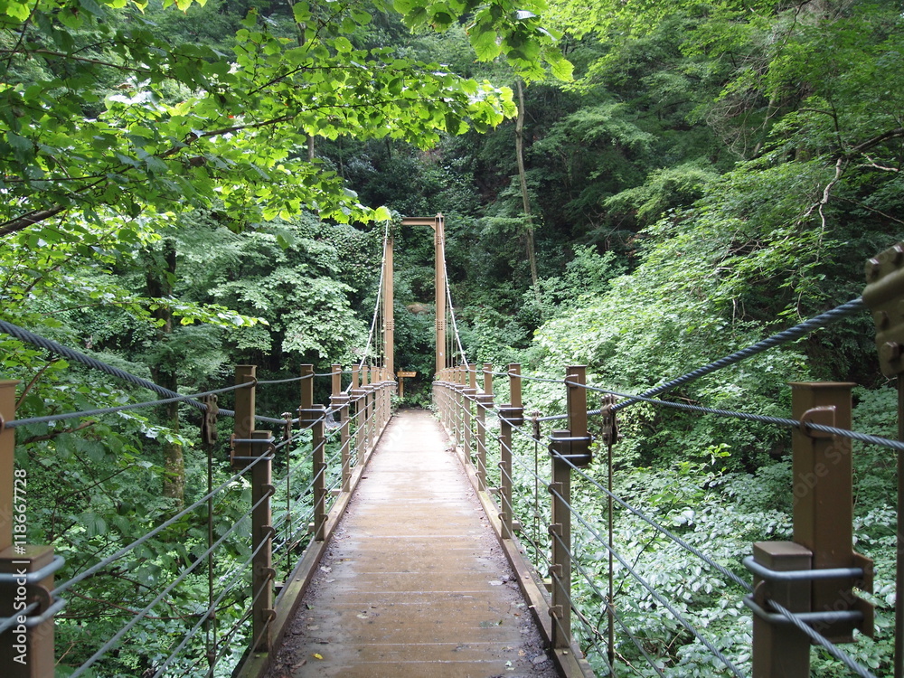 Wall mural 高尾山　つり橋