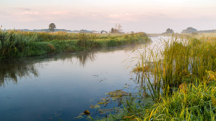 Poranek w Narwiańskim Parku Narodowym © podlaski49