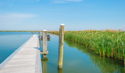 Jetty in a marina in summer
