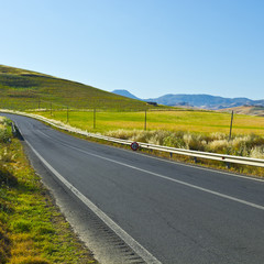 Road between Fields
