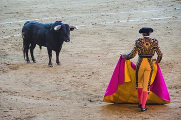 Printed kitchen splashbacks Bullfighting Spanish bullfighter in the bullring