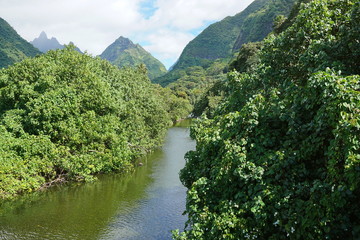 Fototapeta na wymiar Tahiti iti landscape, the river and valley Vaitepiha with mountains in background, French Polynesia