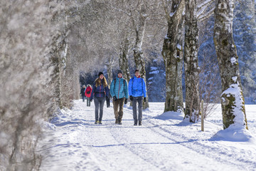 Drei Spaziergänger im gehen eine verschneite Allee entlang